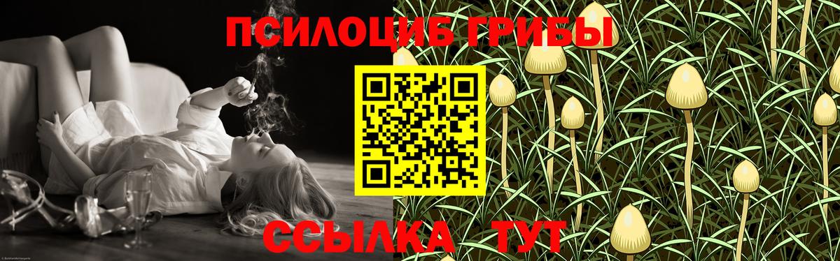Пушкино  Галлюциногенные грибы Magic Shrooms  Вход с VPN 